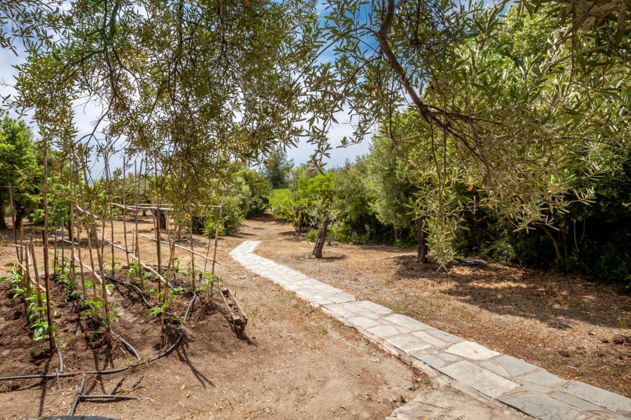 Hidden Gem Sithonia Villa Metochi Agias Kiriakis ภายนอก รูปภาพ