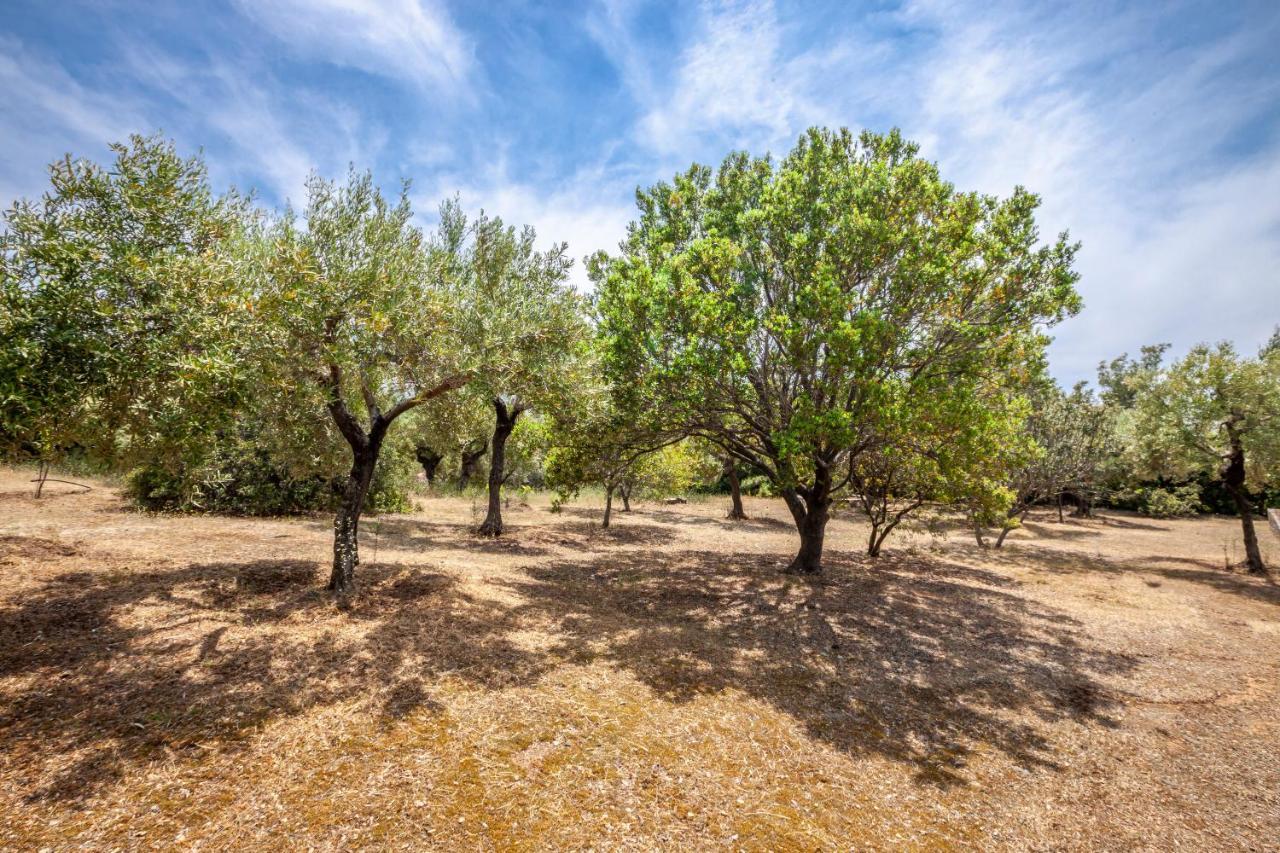 Hidden Gem Sithonia Villa Metochi Agias Kiriakis ภายนอก รูปภาพ