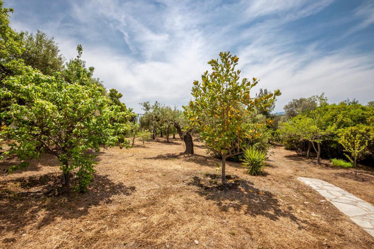 Hidden Gem Sithonia Villa Metochi Agias Kiriakis ภายนอก รูปภาพ